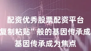 配资优秀股票配资平台仿佛“复制粘贴”般的基因传承成为焦点