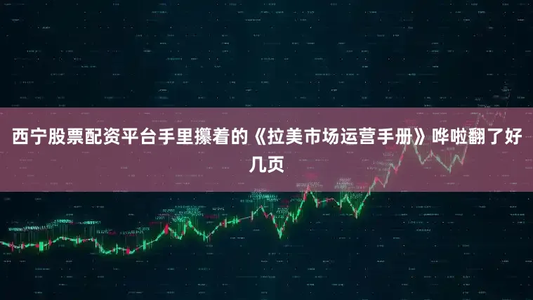 西宁股票配资平台手里攥着的《拉美市场运营手册》哗啦翻了好几页