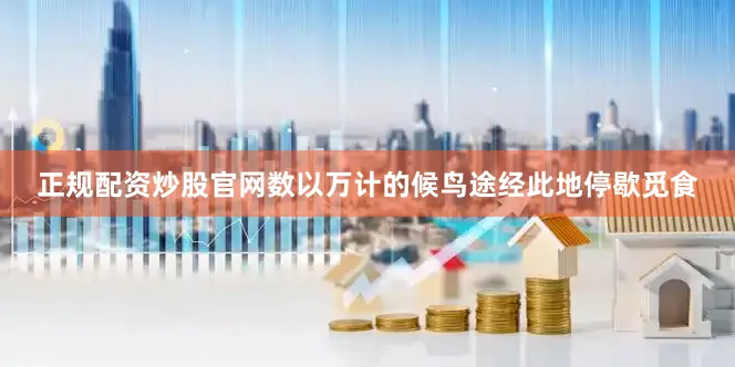 正规配资炒股官网数以万计的候鸟途经此地停歇觅食
